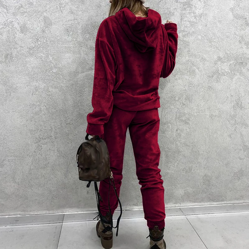 Winter Velvet Two Piece Set Women Fashion Solid Long Sleeve Hoodie Sweatshirt And Pants Tracksuit Ladies Elegant Slim Suits Fall