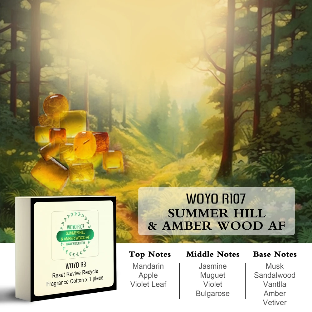 

WOYO парфюмерные хлопковые стержни для BMW, воздушный картридж, запахи лимона/янтарного/дерева, ароматизатор воздуха, дорожные автомобильные аксессуары