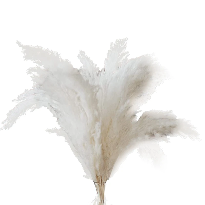 

Белая пампасная трава-10 пампасных стеблей пушистой пампасной травы для декора свадьбы, дома и мероприятия-сушеная пампасная трава