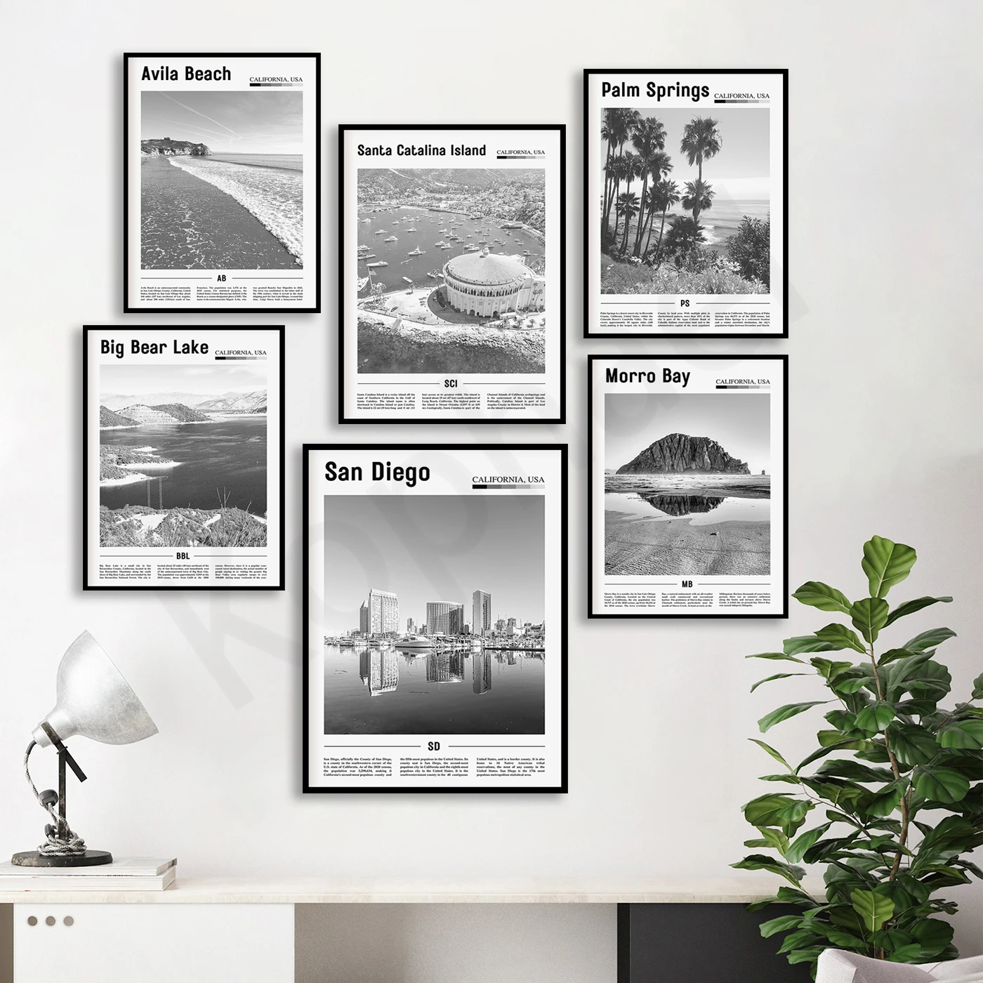 Стсон. Сан-Диего. Авила. Лечебная бухта. Писавица. Пружины на ладони. Сонома.