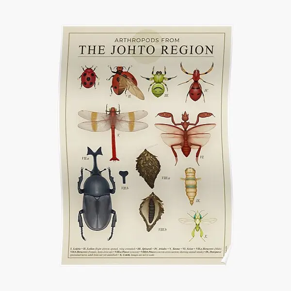 

Arthropods From Johto Poster Mural Home Modern Picture Print Vintage Room Painting Funny Art Wall Decor Decoration No Frame