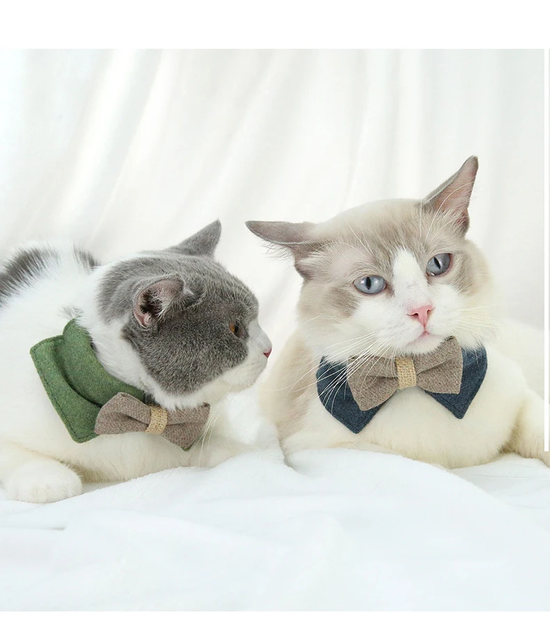 

Green Blue Coffee Cat Collar With Bow-knot