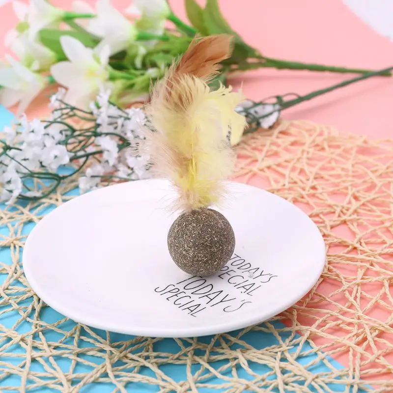 

Игрушки в виде кошачьей мяты с перьями для домашних животных, игрушки для кошек, котят, жевательные игрушки