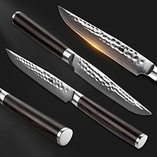 

Steak Knife Set, 5 inch Kitchen Table Knife 67 Layers Damascus Steel Sharp Professional Kitchen Cooking Knives with Gift Box, Er