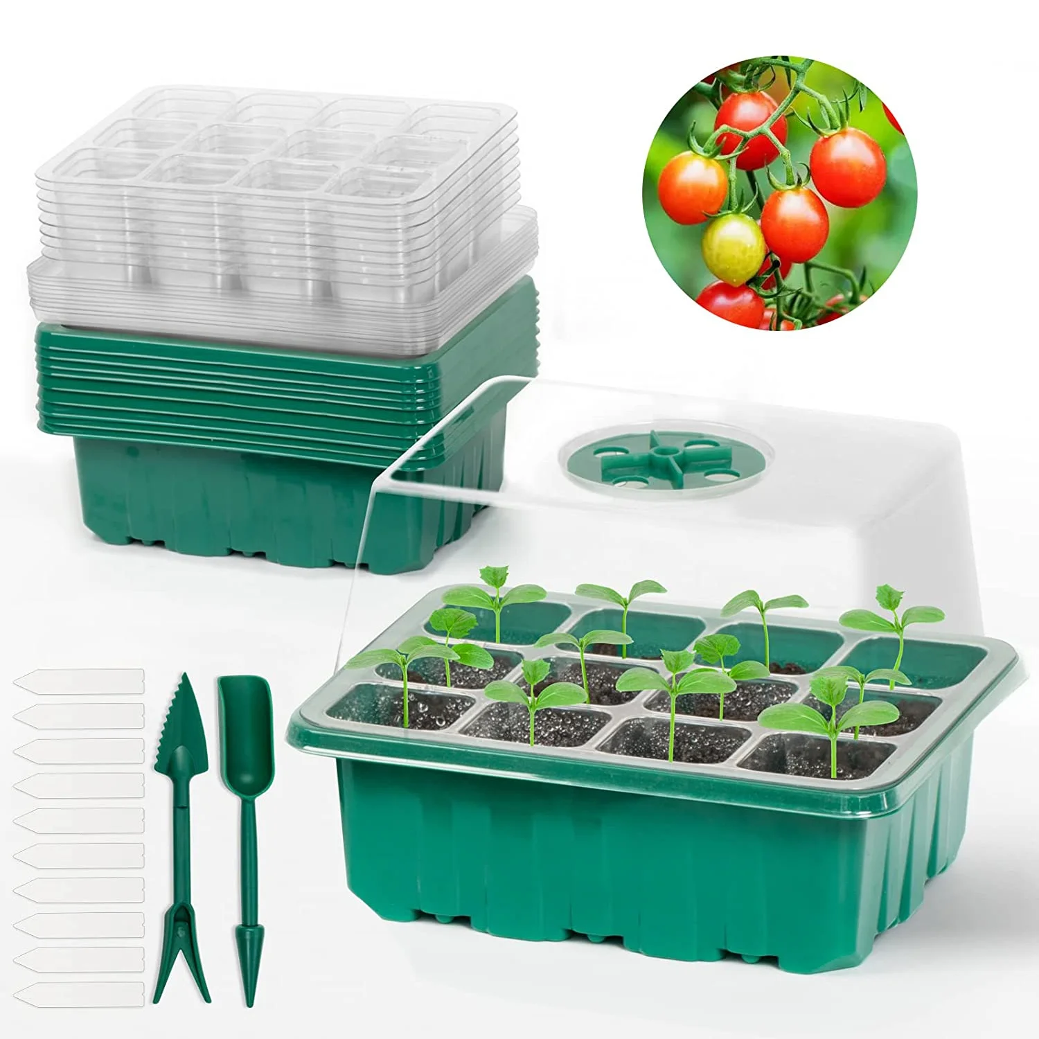 

12 Gaten Zaailingenplateau Tuin Kwekerij Potten Zaad Trays Bpa Gratis Kas Bloempot Planten Doos Zaad Starter Kit Voor tuin Yard