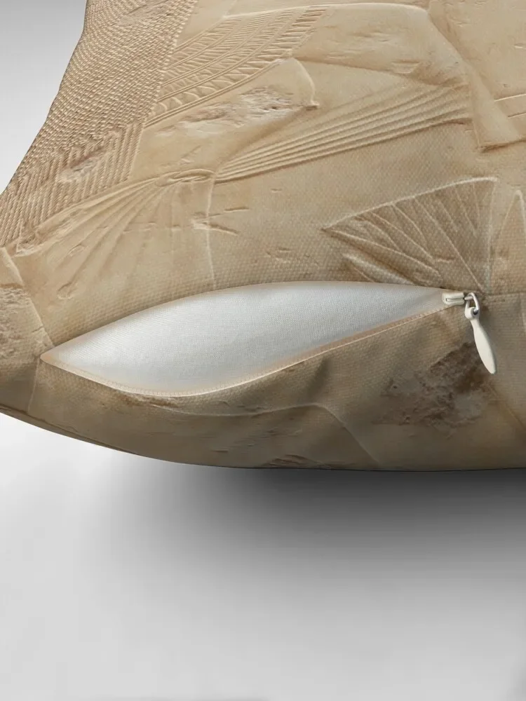 Тонкая резная гробница Рамозы в Роскоре Египте. Декоративная подушка