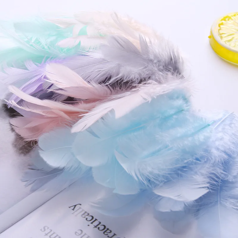 

100/200pcs Two specifications Colorful handmade feathers diy Ornament Accessories artifact Decorative materials pheasant feather