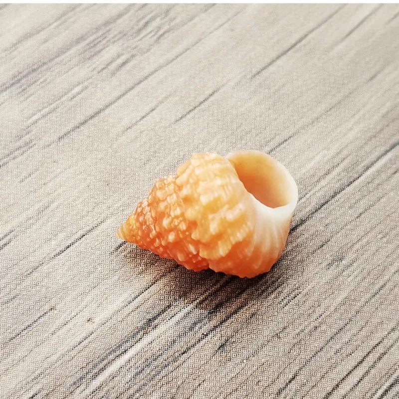 Природные змеи образец башни сменные рыболовные резервуары и микроландшафты для