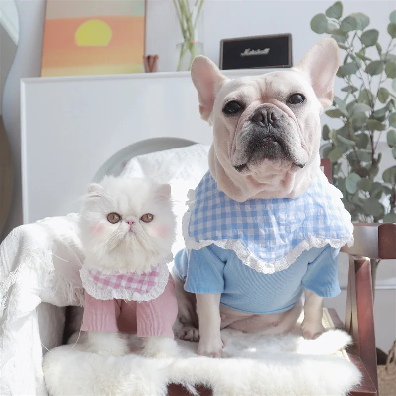 

Одежда для домашних питомцев; Кошки Одежда