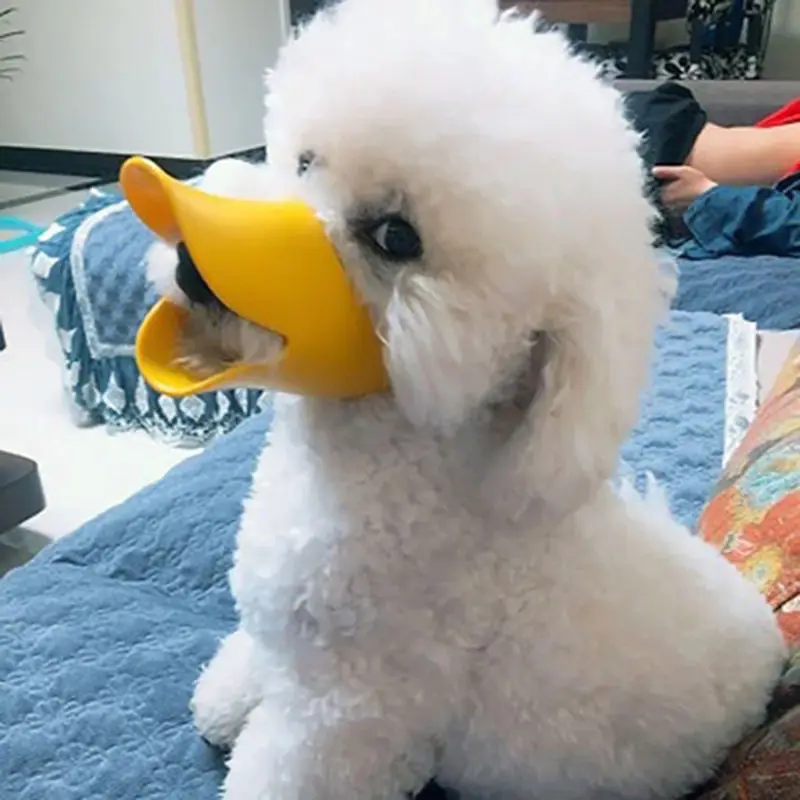 

Dog Mouth Cover Pet Bite Barking Mask Dog Mouth Cover Barking Bark Stopper Pet Teddy Duckbill Cover Supplies