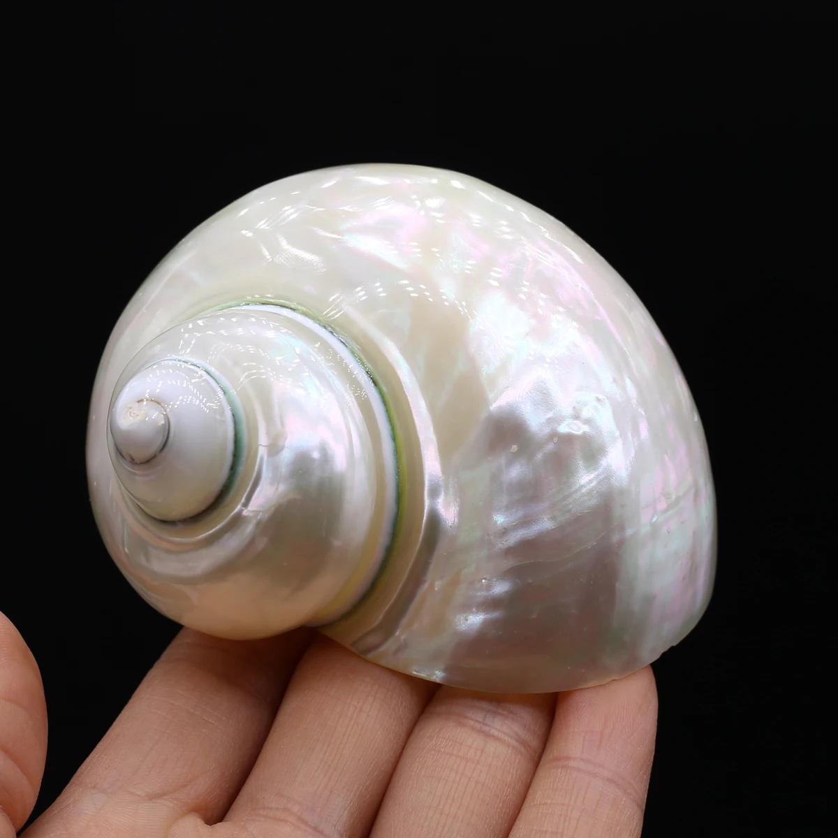 Натуральная пресноводная раковина, раковина-краб, ремесла, украшение, крошечная раковина, оболочка, подвеска, менее 50x80 мм