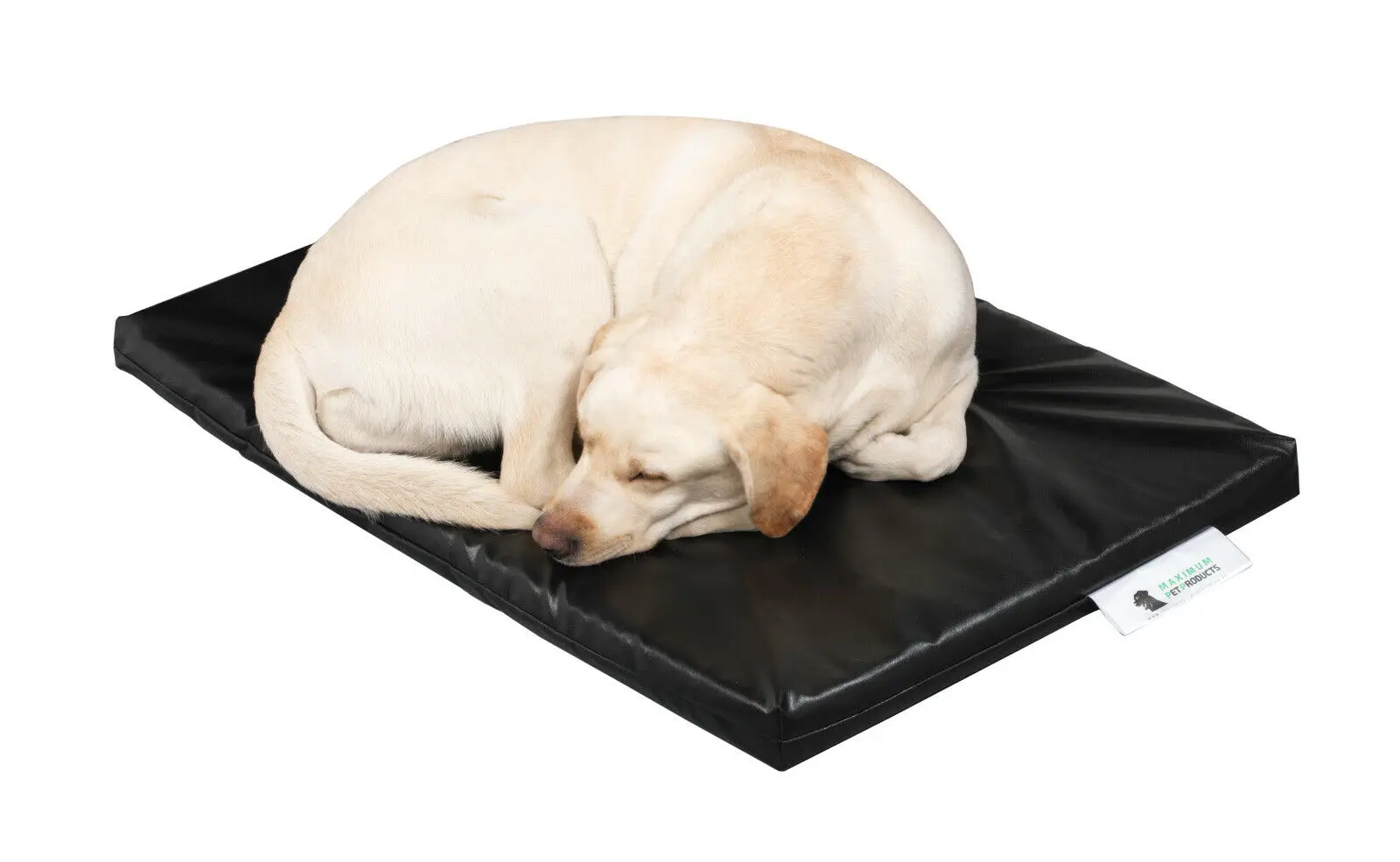 Beste robuste Hundebetten