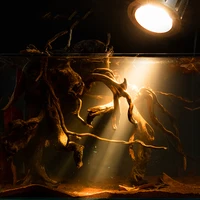 led marine aquarium fish tank background waterproof plants changing color small sunset lamp aquario aquarium accessories jw0112