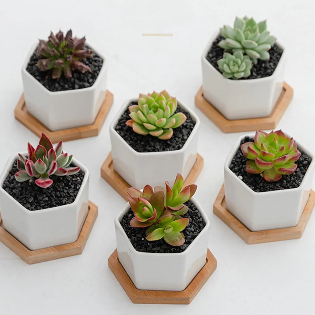 

Керамические цветочные горшки для кактуса с дренажным отверстием для украшения дома и офиса