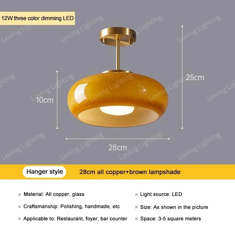 

Скромная винтажная стеклянная потолочная люстра, балкон, спальня, учебные лампы для комнаты, светодиодные светильники для внутренней кухни, украшение для бытовой техники