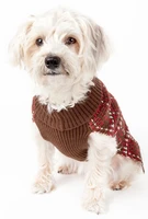 jmt vintage static fashion knitted dog sweater