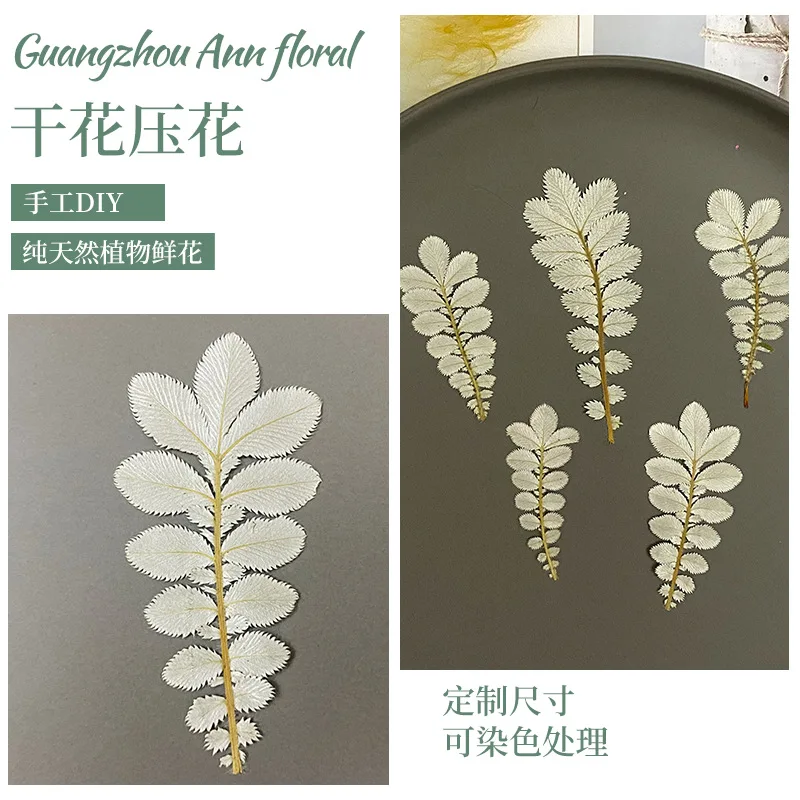 Настольная лампа сделай сам Антибликовая фоторамка с изображением белых листьев