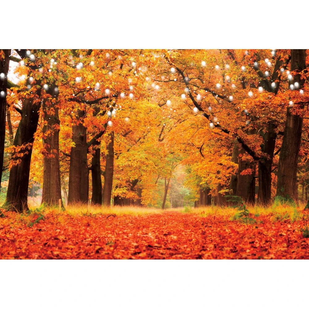 Фон для фотосъемки с изображением природного осеннего леса