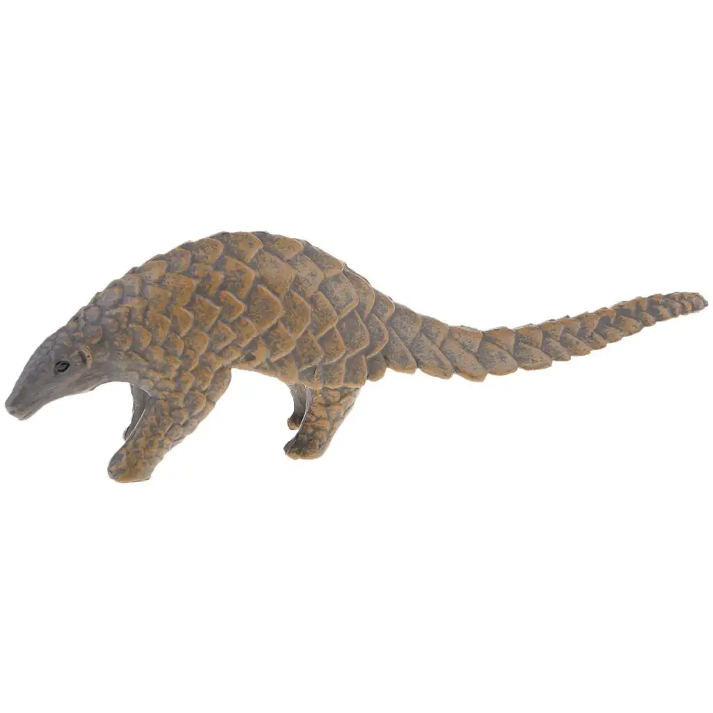 

Animal Figurine Collection - Pentadactyla - Educational Kids