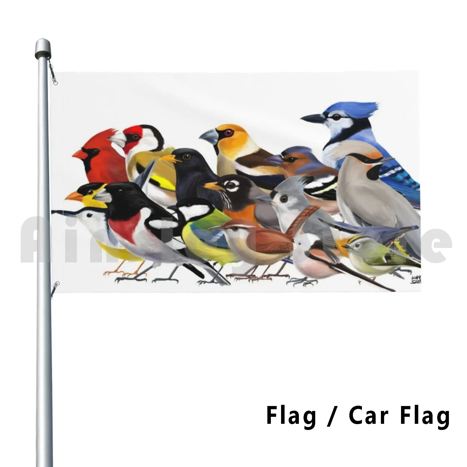 

Year Of The Bird-Birds Of North America And Europe Flag Car Flag Funny Bird Birding Ornithology Nature