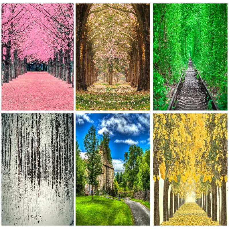 

Vinyl Custom Natural Scenery Photography Background Street Landscape Travel Castle Photo Backdrops Studio Props 211110 HS-11