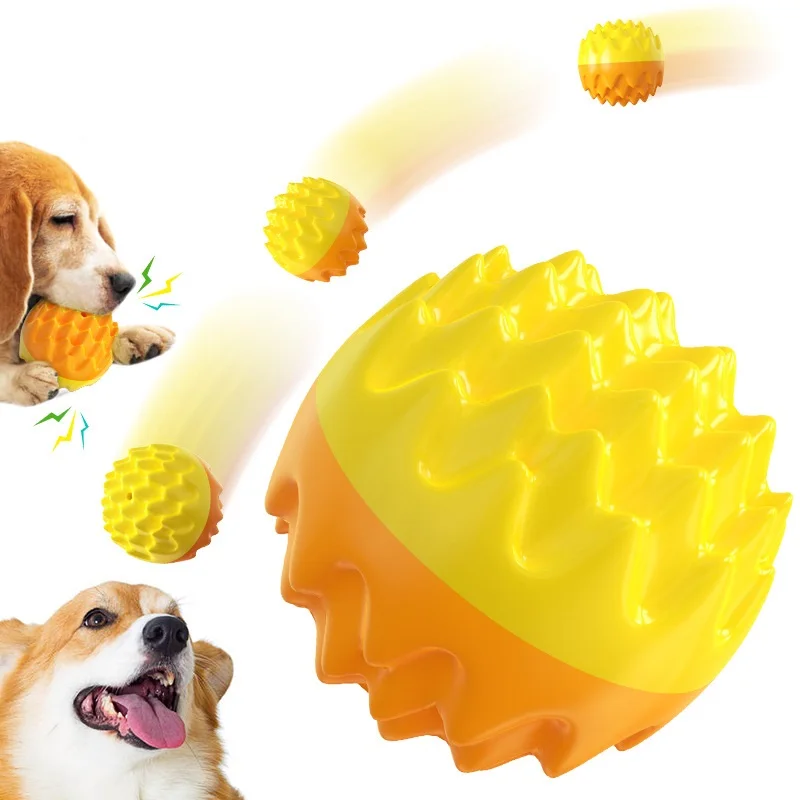 

Sound Toy Training Molball Toothbrush Dog Rubber Toy Puppy Large Dog Outdoor Toy Training Dog Accessories