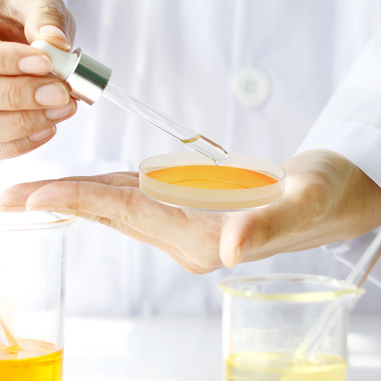 

10 Pcs Nutrient Agar Plate Kid Stuff Plates Experiment Prepoured Petri Dishes Portable Child Plastic