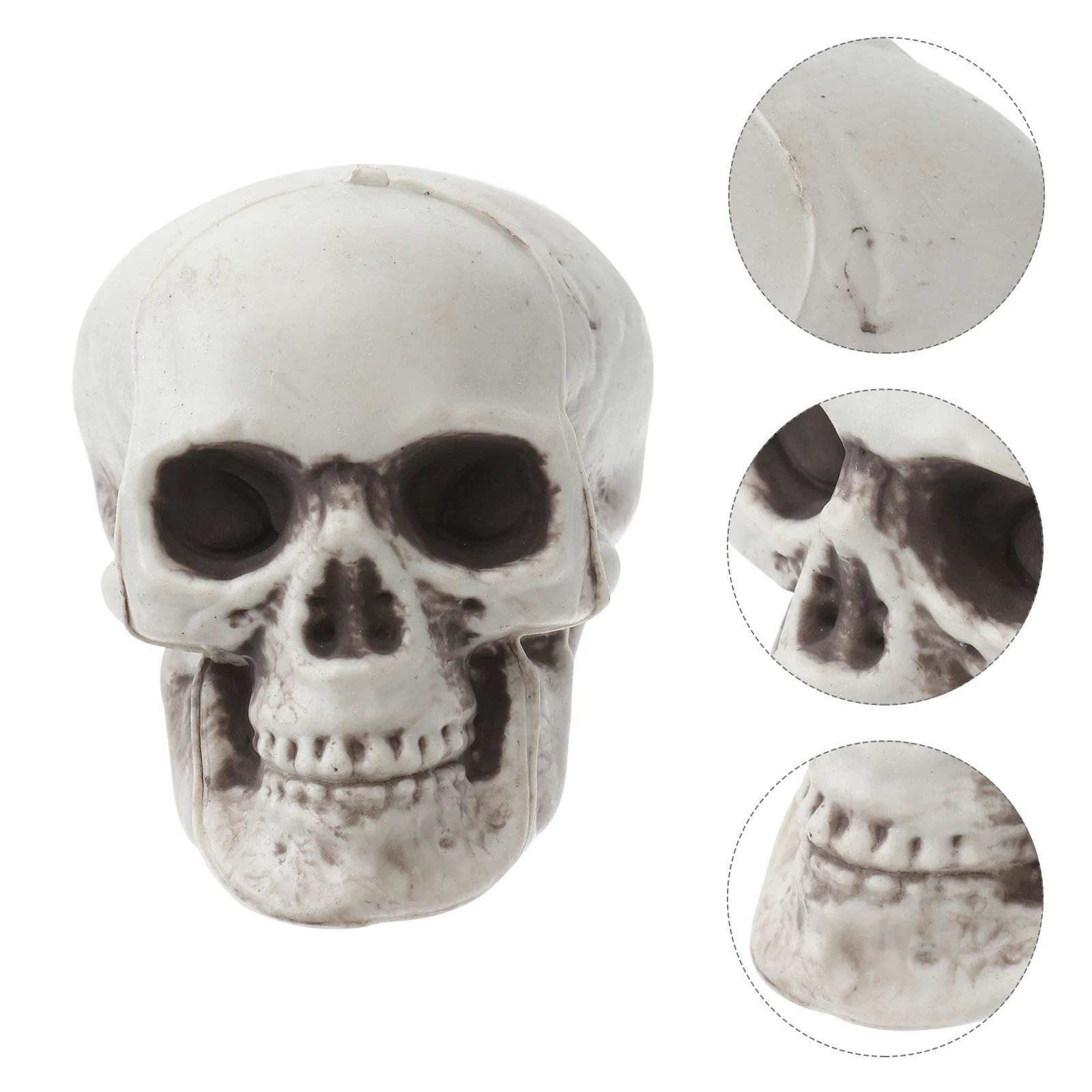 

6pcs Skulls, Realistic, for Hanging Desktop Decoration