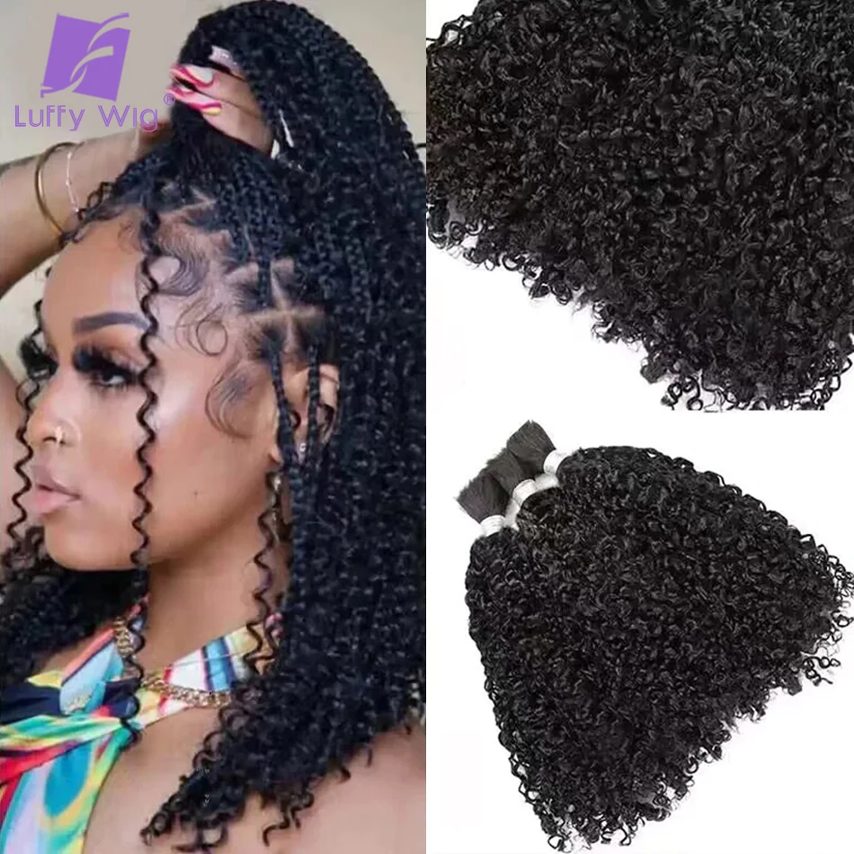 Double Drawn Brazilian Sassy Curly Bulk Hair Tight Curly Human Hair Bulk for Braiding No Weft Braiding Hair Extension for Women