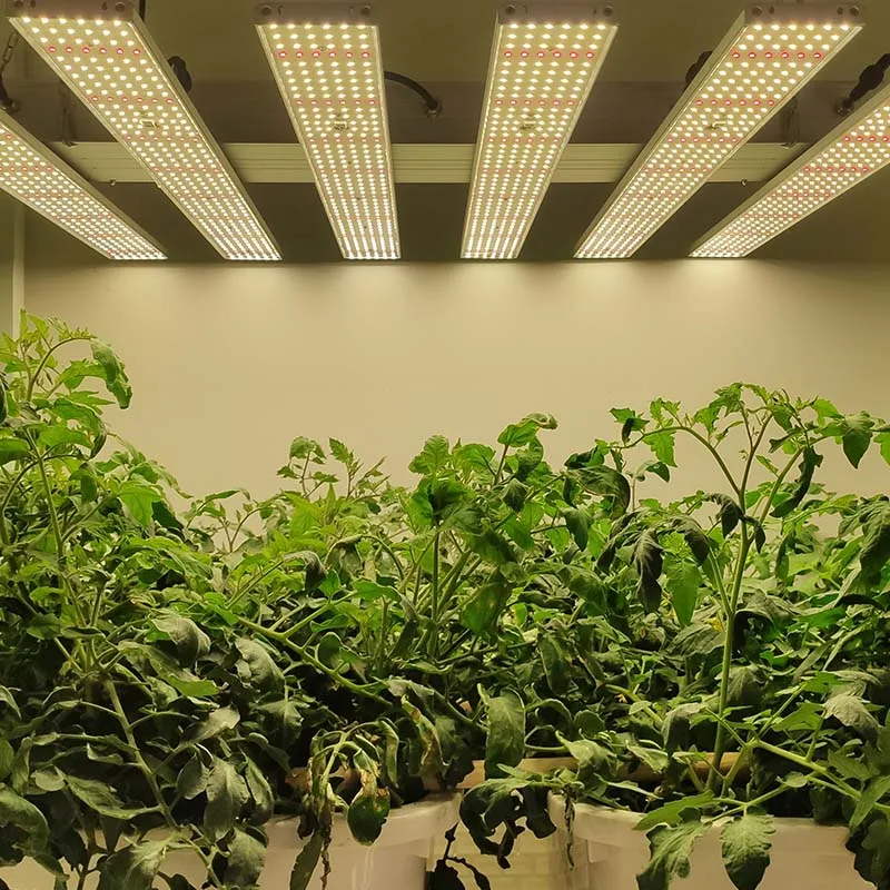 

1000wVertical Farming Medical Plants Veg Bloom Indoor Growing Light with Full Spectrum Grow Light Rotary Dimmer