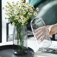 modern home decor nordic transparent glass vase living room simple hydroponic vase decoration room desktop flower bottle gift