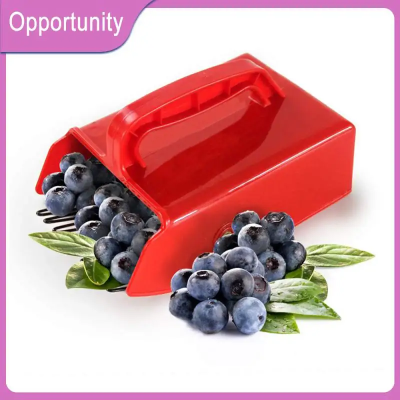 

Blueberry Picker With Metal Comb Picker Suitable For All Age Groups Blueberry Harvester Convenient And Safe Picking Garden Tools