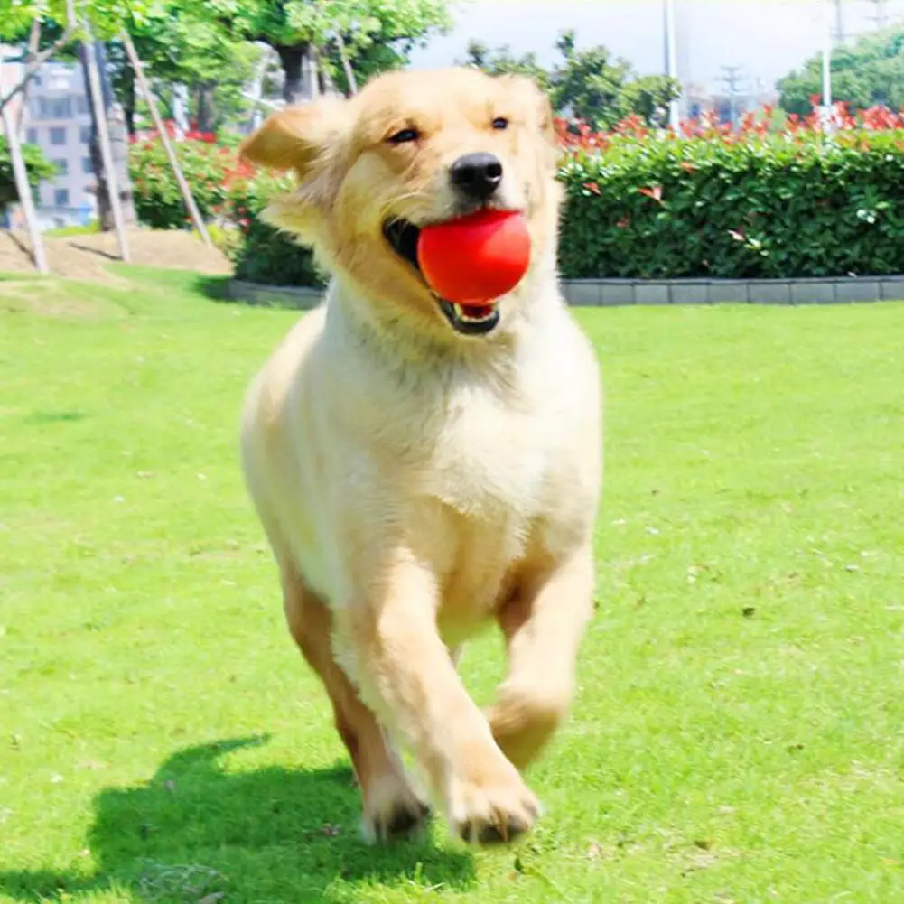 

Надувные мячи для собак, неразрушаемый устойчивый к падениям твердый резиновый прыгающий мяч, тренировочный мяч для средних и больших соба...