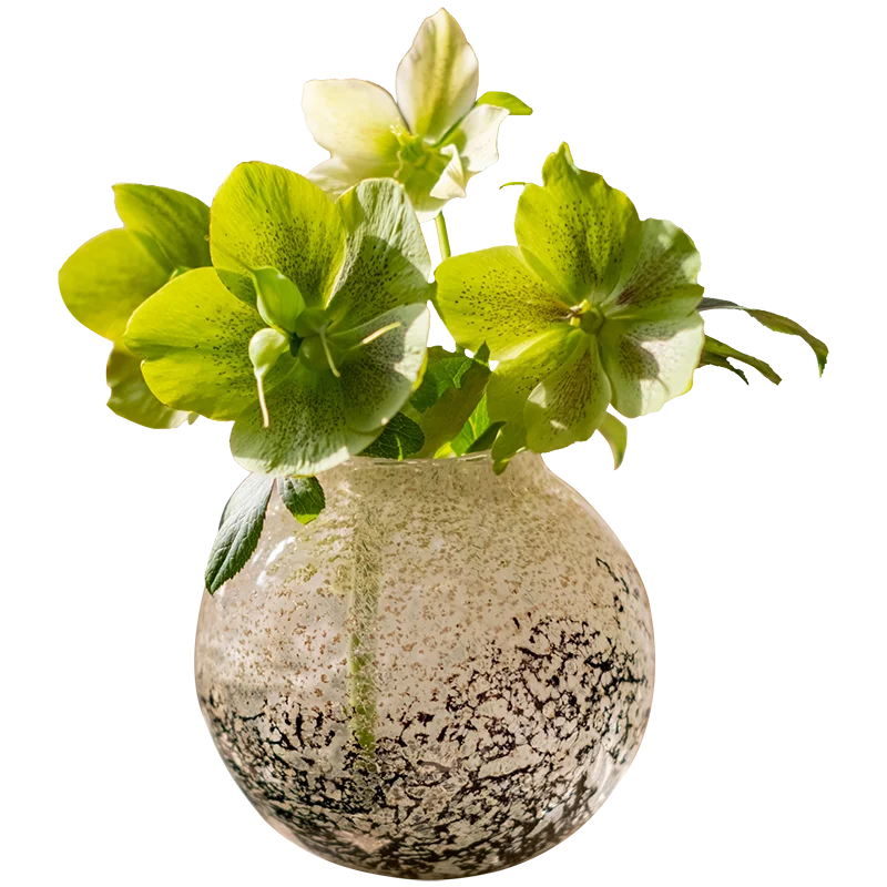 

Pangu Handmade Glass Vase Big Belly Bottle Flower Arrangement Water Flower Plant Design Sense Living Room Dining Table Ornaments