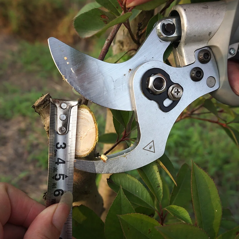 

Electric pruning shears 45mm cutting diameter secateurs lithium ion battery garden scissors
