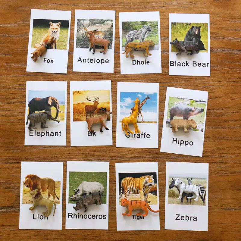 

Montessori Language Material Forest Animals Flash Cards Matching Game Educational Toys For Kids Juguetes Brinquedos MJ1244H