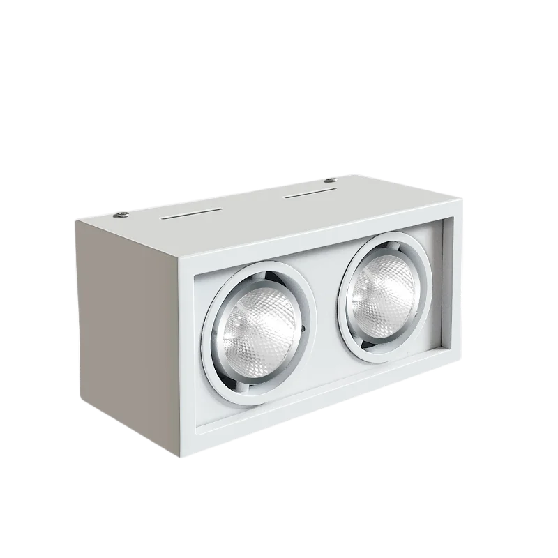 

Surface Mounted Dimmable LED Ceiling Lamps - 10W/20W COB LED Downlights - Square Rotation - Spot Light - AC85-265 - 1 Piece