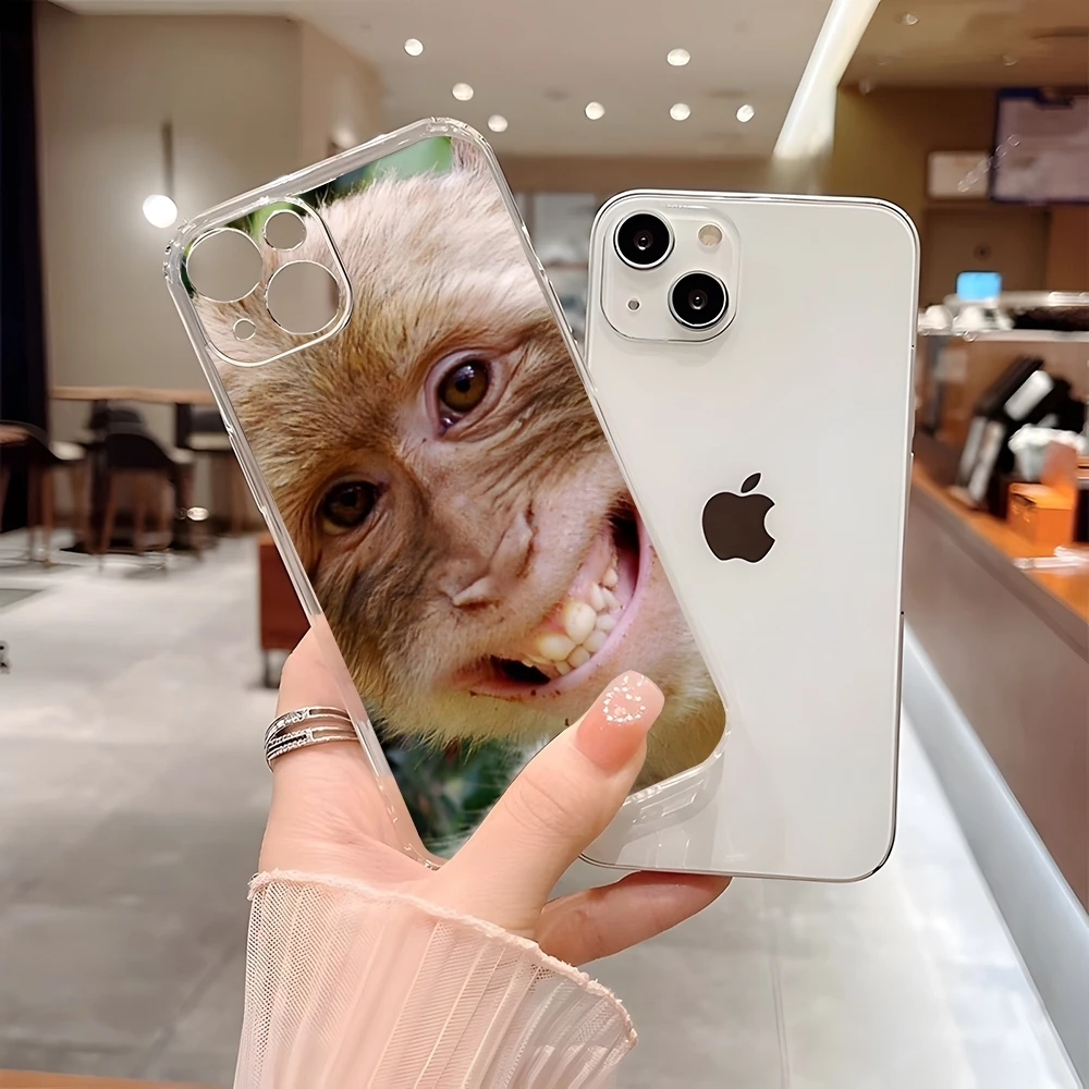 Чехол для телефона с принтом обезьяны 15 Pro Max iphone 14 Plus 11 12 13 Mini 7 8 X XR XS SE прозрачный