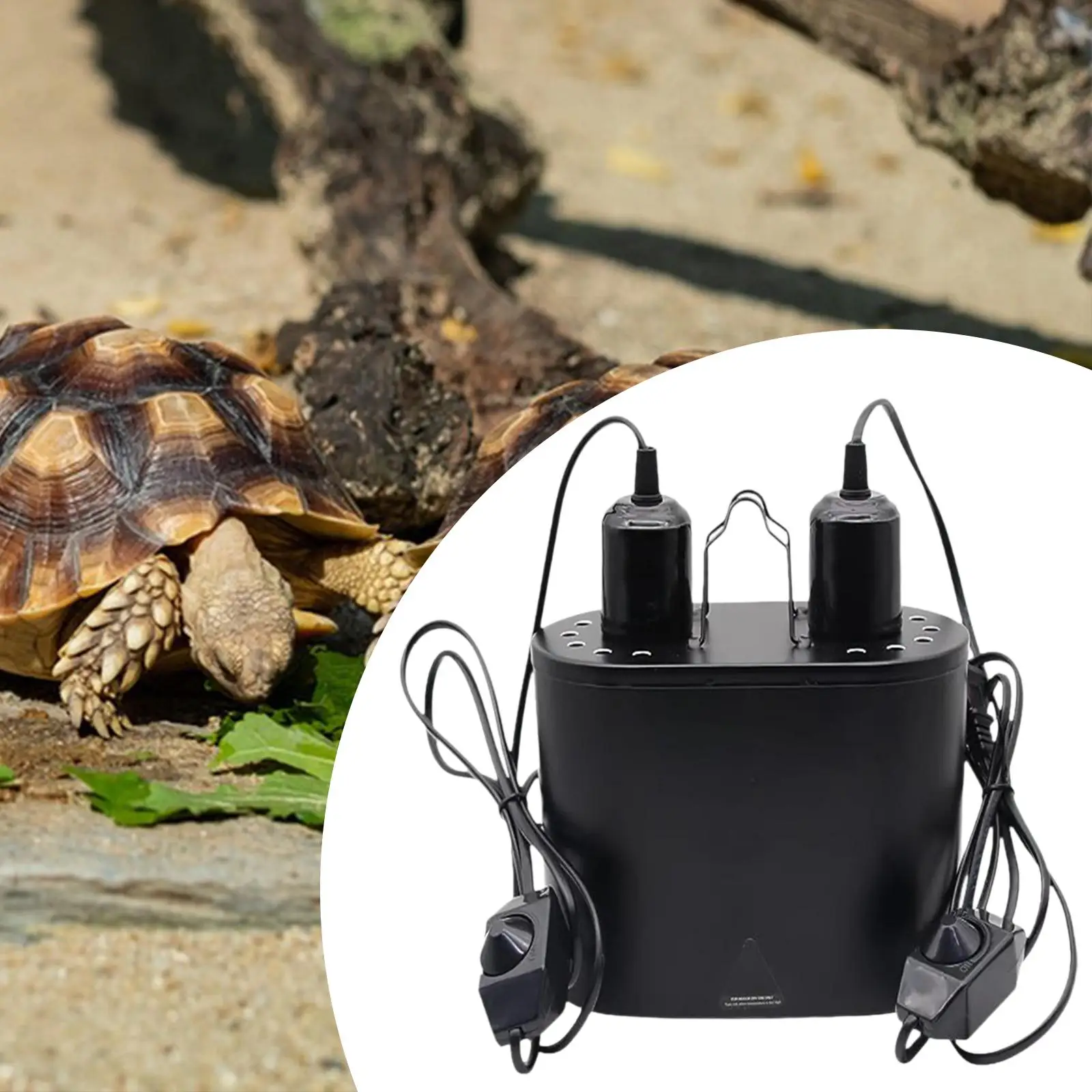 Фотокамера для земноводных рептилий