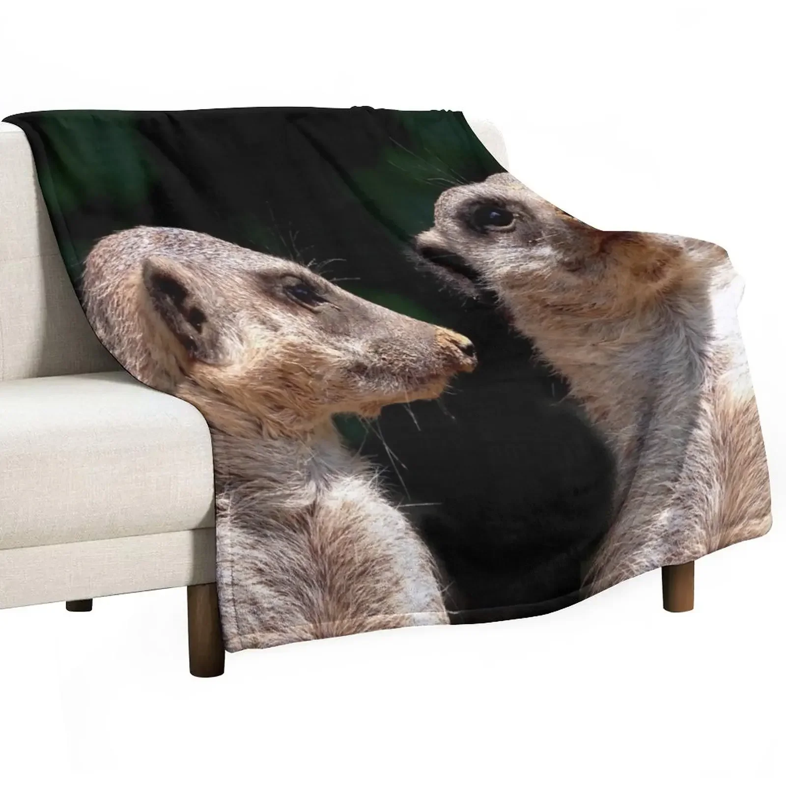 Откидное одеяло диван-кровать зимние кровати красивые одеяла диваны