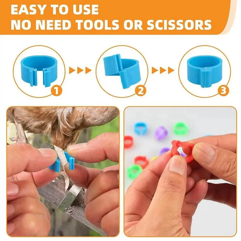 Кольцо-клипса для цыплят бедер