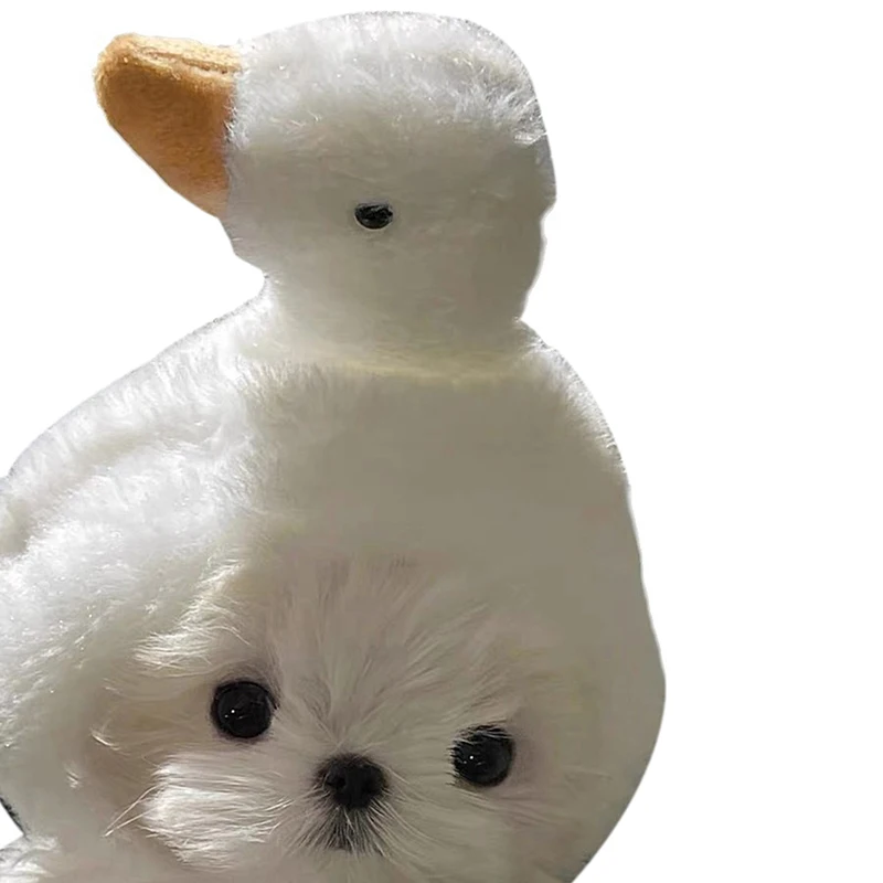 Мальтийская большая белая гусь голова куклы запекания жареная кошки домашнее