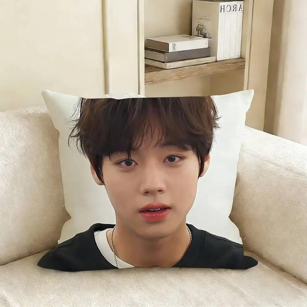 Фото Наволочка P-Park J-Jihoon W-Weak H-Hero, чехол для диванной подушки в гостиную, подходит для украшения дома, спальни, комнаты №2