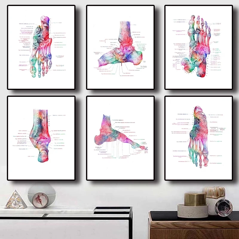 

Ортопедический плакат на холсте, модульный ортопедический постер с изображением костей ног, настенное украшение для гостиной в современно...