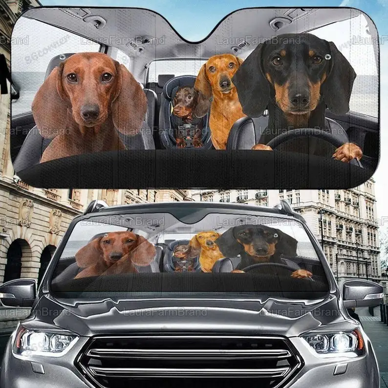 

Dachshund Car Windshield Sunshades, Dachshund Lover Cute Sunshade, Funny Dachshund Car Sunshades, Father Day's Gift