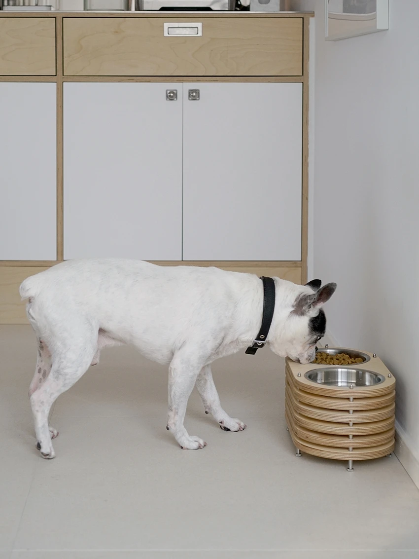 Противоскользящая и противоскользящая раковина для кошек собак защиты шеи еды