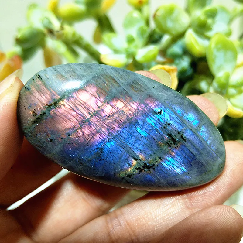 Фиолетовый лабрадорит, пальмовый камень  EBET