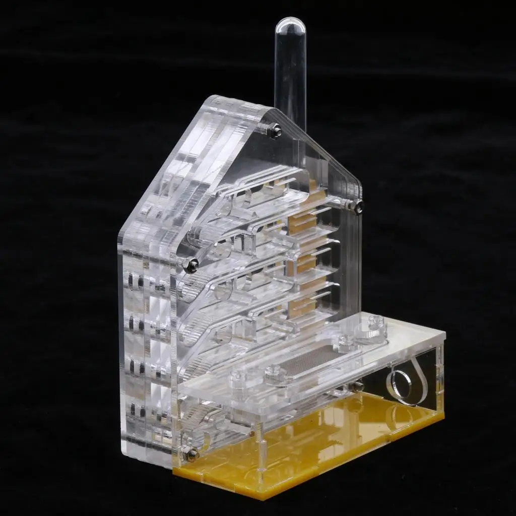Прозрачный корпус для муравьев акриловое гнездо корм ферма контейнер