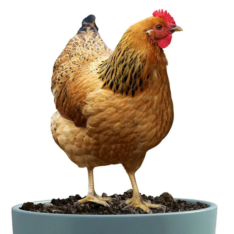 

Chicken Yard Art Realistic Chicken Sculptures For Farm Garden Acrylic Hen Statue Outdoor Decorations Art Craft Courtyard