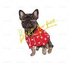 Роскошная дизайнерская одежда для собак, зимняя модная теплая толстовка для маленьких и средних собак, одежда для французского бульдога, одежда для щенков